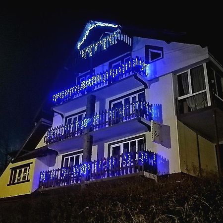 Apartament Sarco Villa Vatra Dornei Eksteriør billede