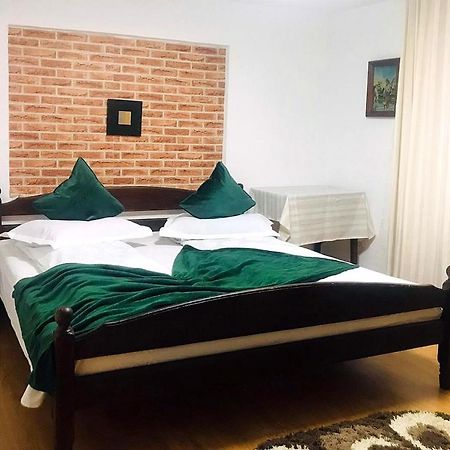 Apartament Sarco Villa Vatra Dornei Eksteriør billede