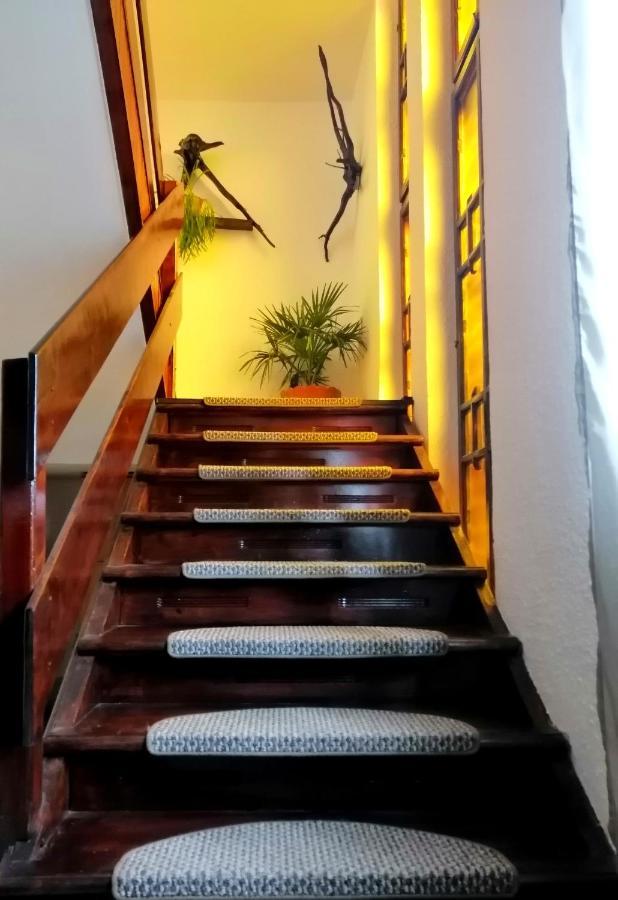 Apartament Sarco Villa Vatra Dornei Eksteriør billede