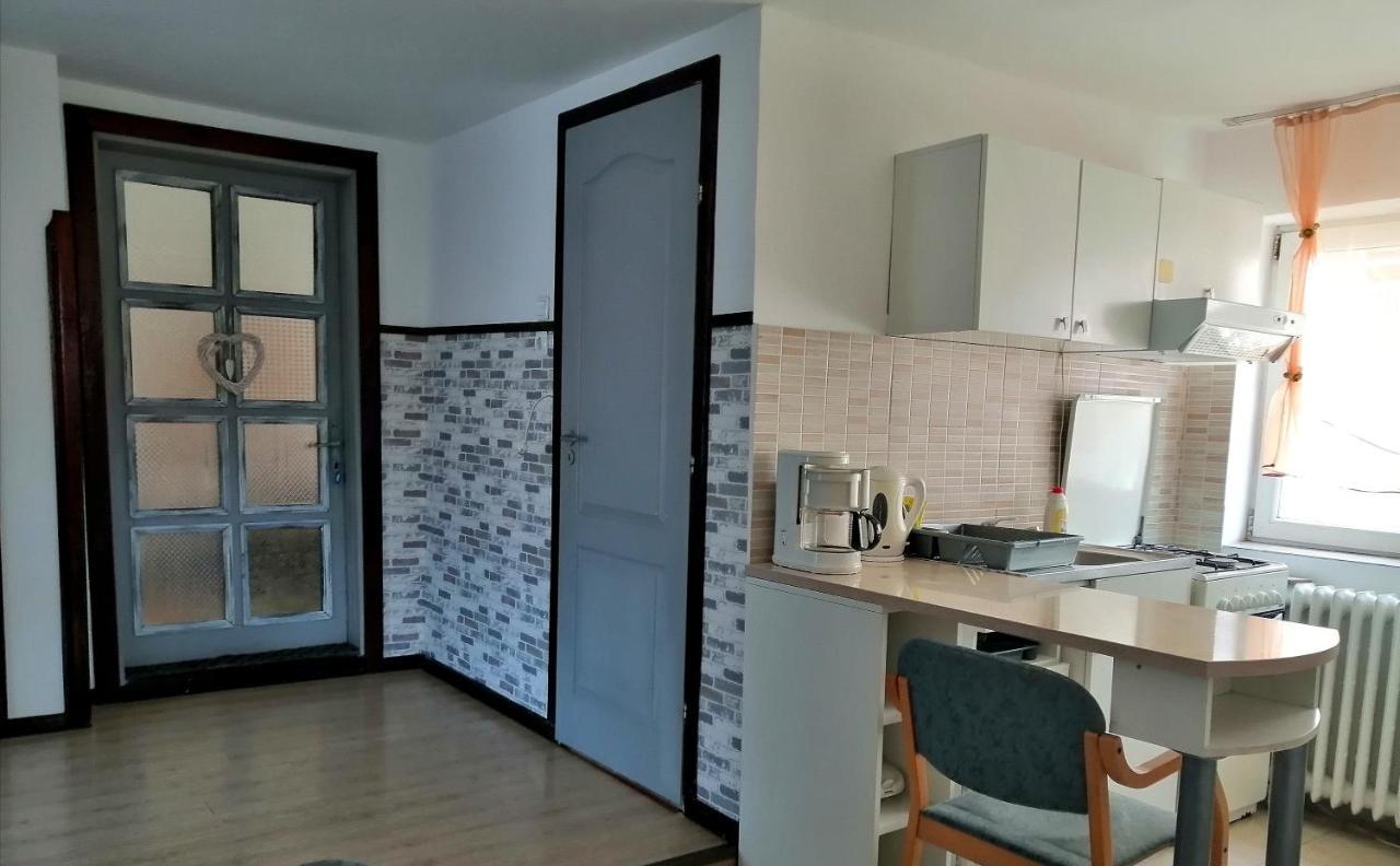 Apartament Sarco Villa Vatra Dornei Eksteriør billede