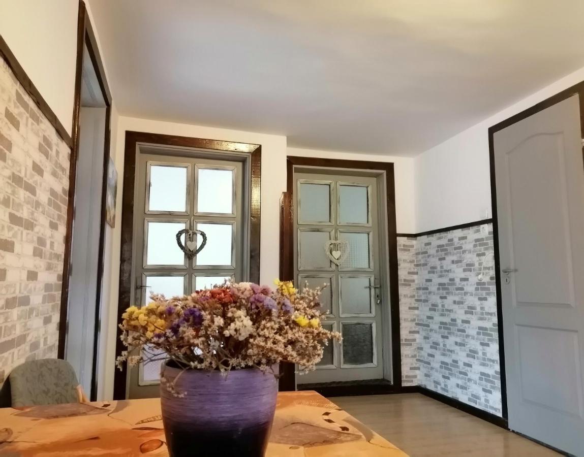 Apartament Sarco Villa Vatra Dornei Eksteriør billede