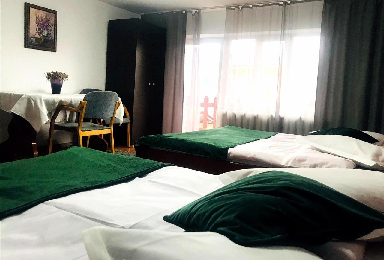 Apartament Sarco Villa Vatra Dornei Eksteriør billede
