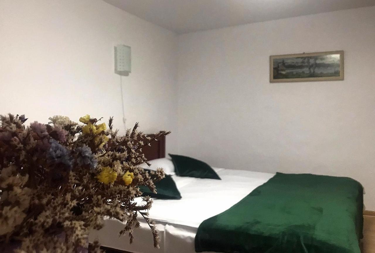 Apartament Sarco Villa Vatra Dornei Eksteriør billede