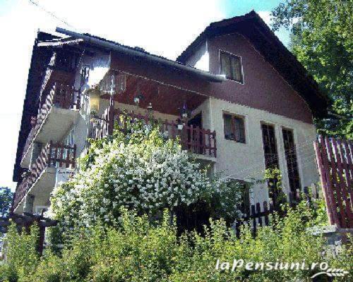 Apartament Sarco Villa Vatra Dornei Eksteriør billede